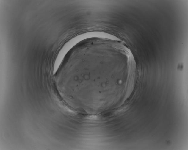 X0000114610237200911171042