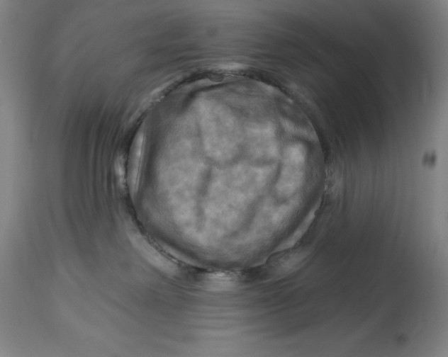 X0000114610238200911171042