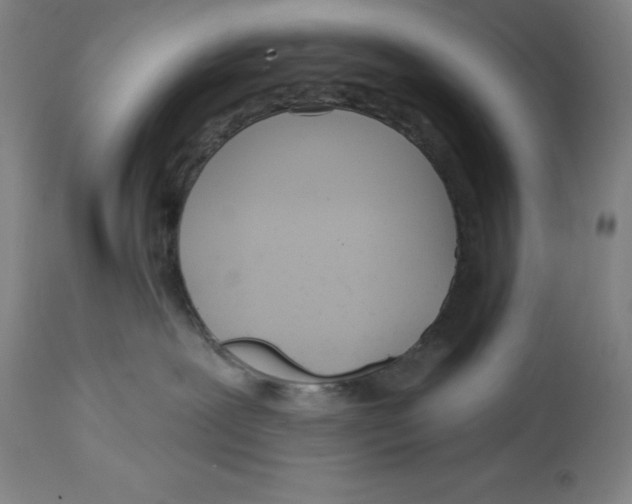 X0000114610239200911171042