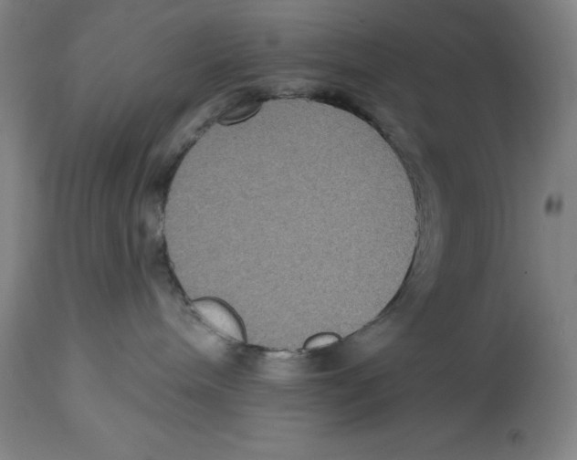 X0000114610240200911171042