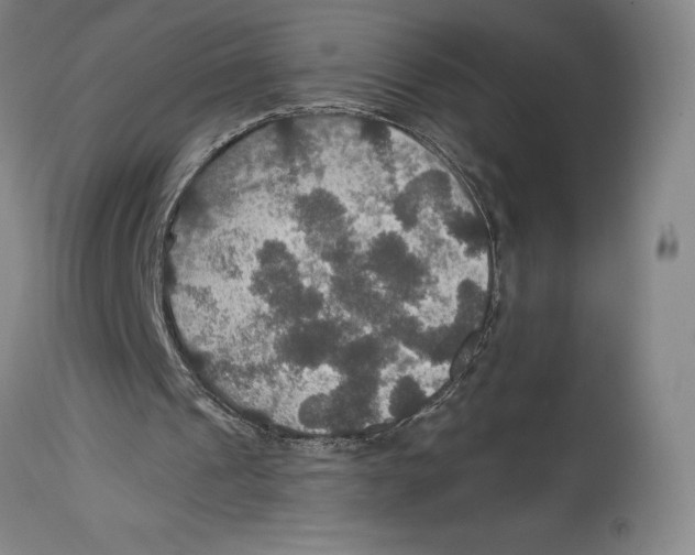 X0000114610241200911171041