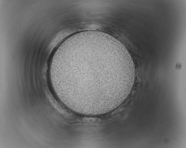 X0000114610242200911171041