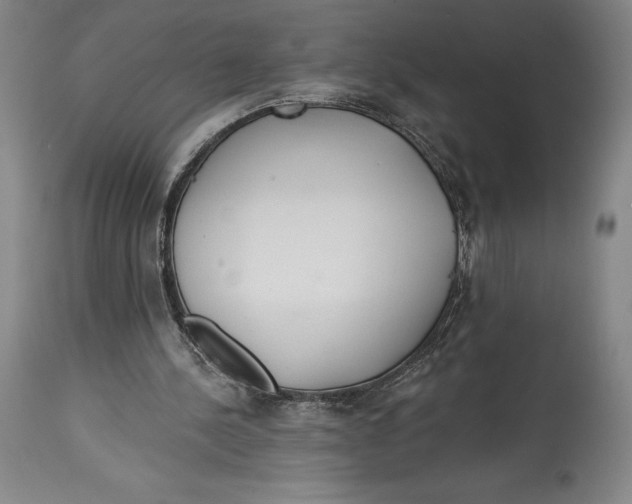 X0000114610244200911171041