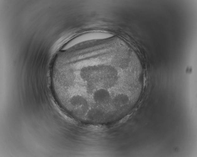 X0000114610245200911171041