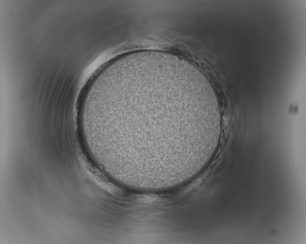 X0000114610246200911171041