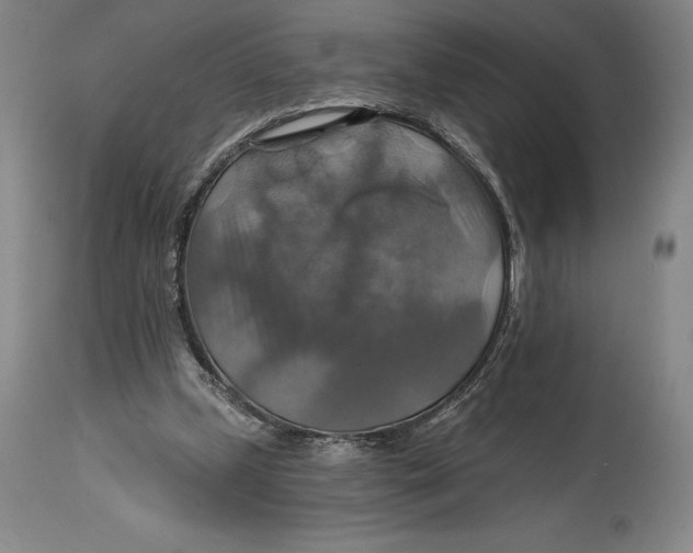 X0000114610249200911171041