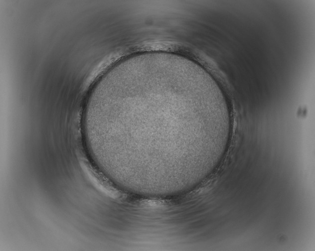 X0000114610250200911171041