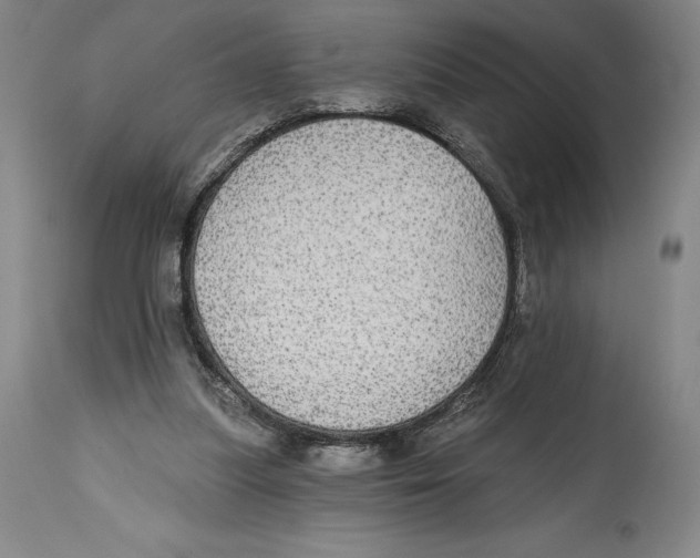 X0000114610251200911171041