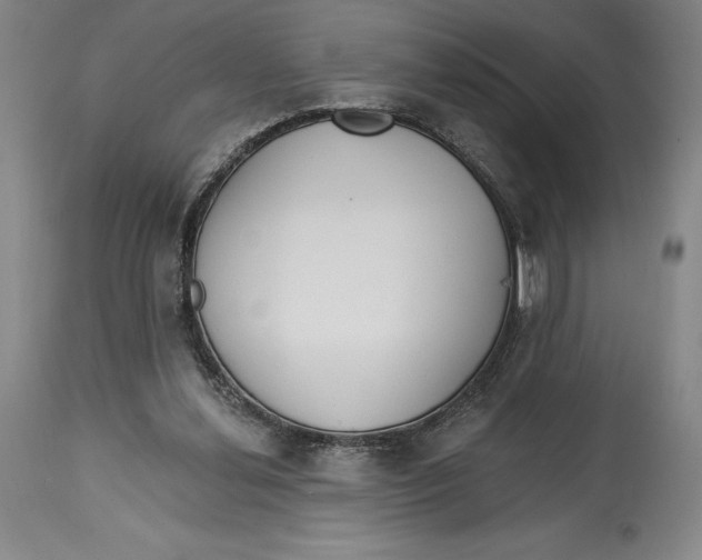 X0000114610252200911171041