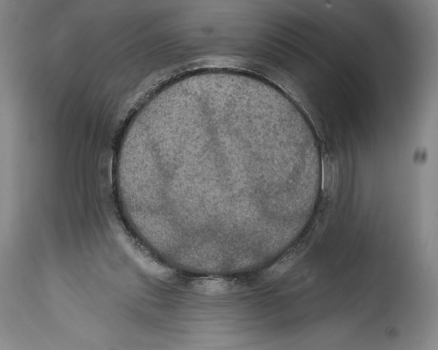 X0000114610253200911171041