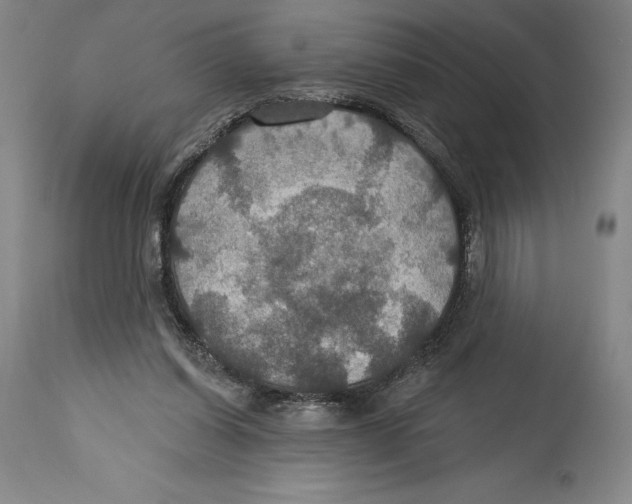 X0000114610254200911171041