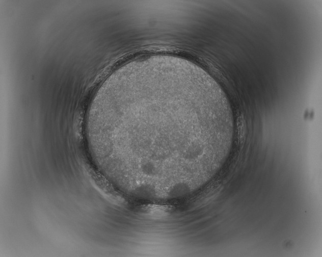 X0000114610255200911171041