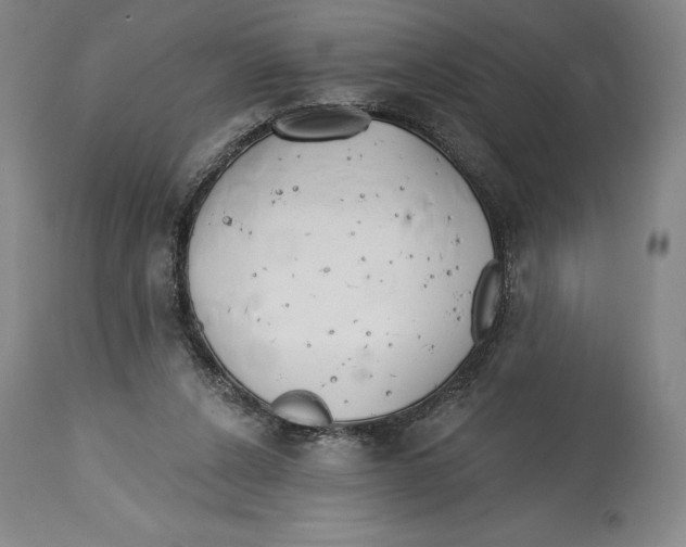 X0000114610256200911171041