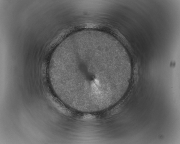 X0000114610257200911171042