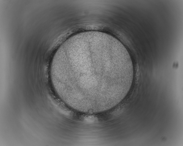 X0000114610258200911171042