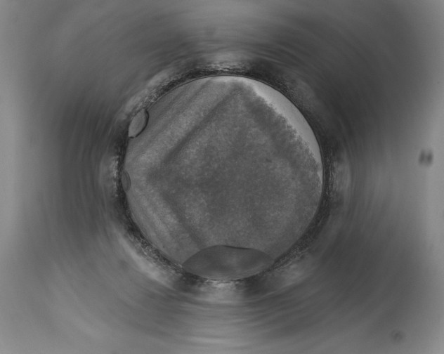 X0000114610260200911171042