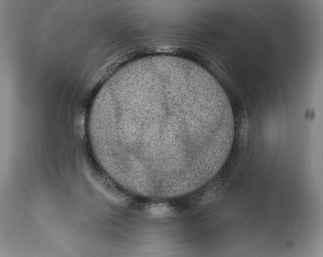 X0000114610262200911171042