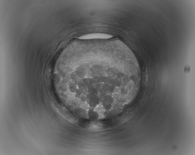 X0000114610263200911171042