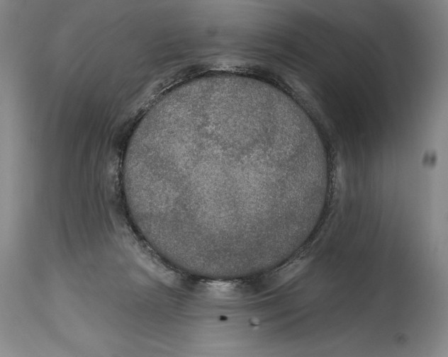 X0000114610265200911171042