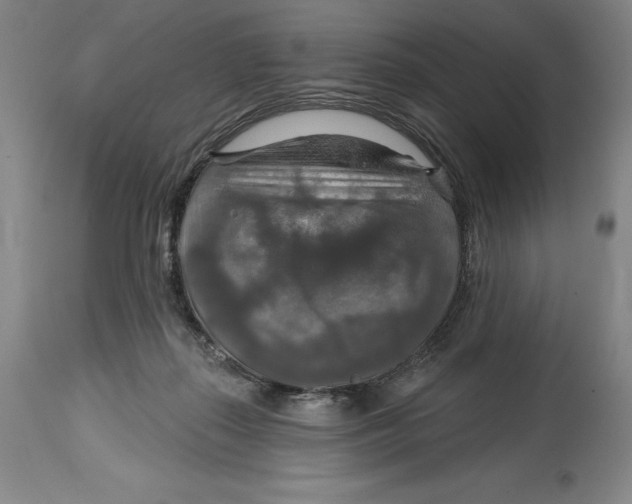 X0000114610267200911171042