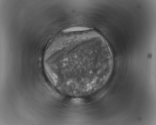 X0000114610269200911171042