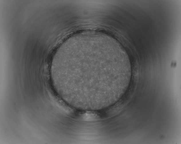 X0000114610270200911171042