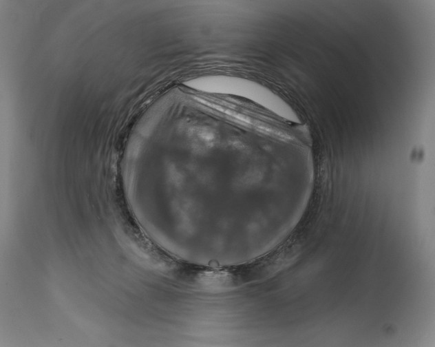 X0000114610271200911171042