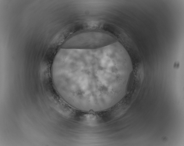 X0000114610272200911171042