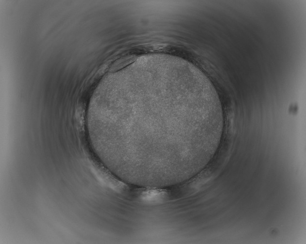 X0000114610274200911171042