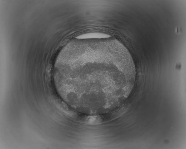 X0000114610275200911171042