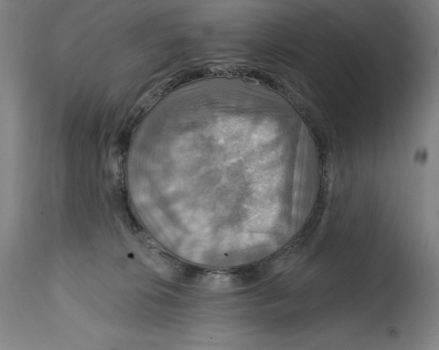 X0000114610276200911171042