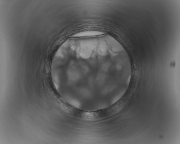 X0000114610277200911171042