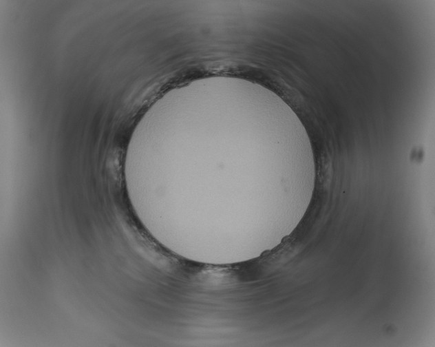 X0000114610280200911171042