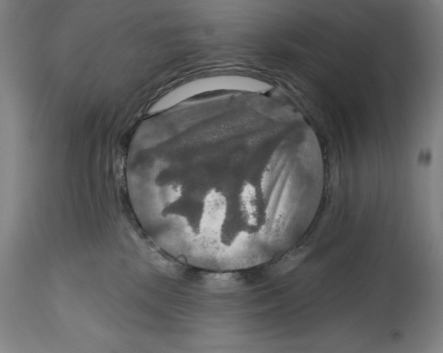 X0000114610281200911171042