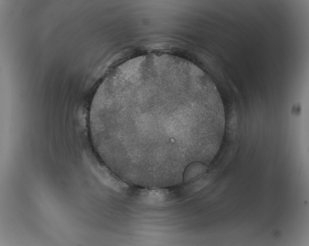 X0000114610282200911171042