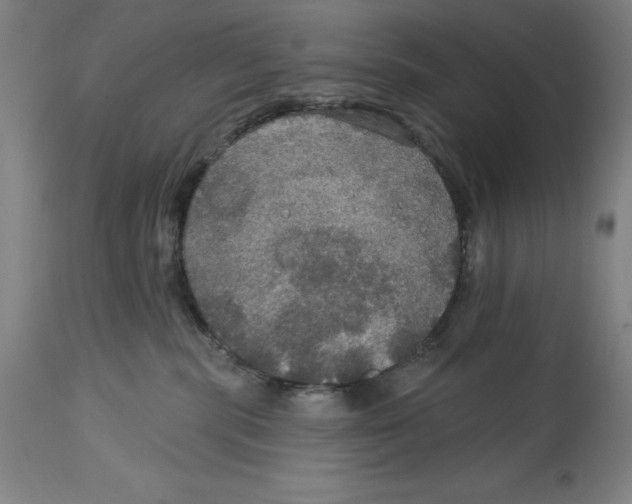 X0000114610283200911171042