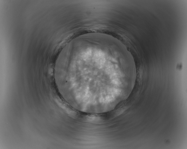 X0000114610284200911171042