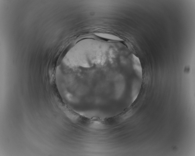 X0000114610285200911171042