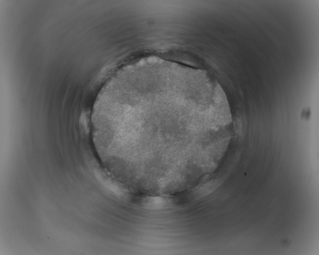 X0000114610286200911171042