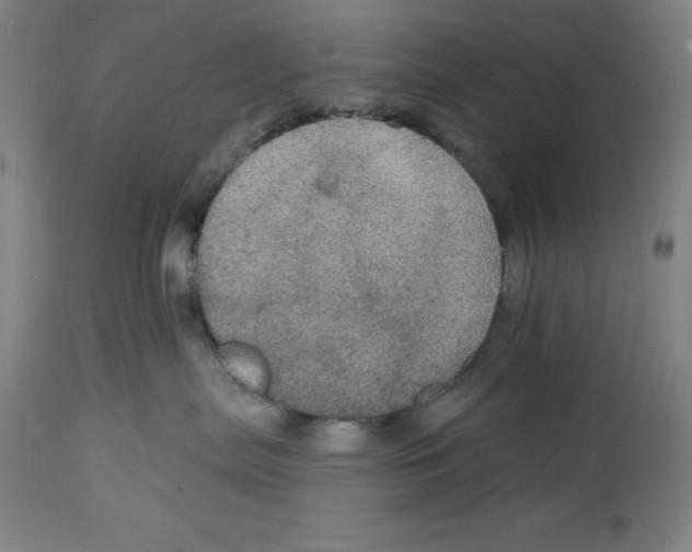 X0000114610287200911171042