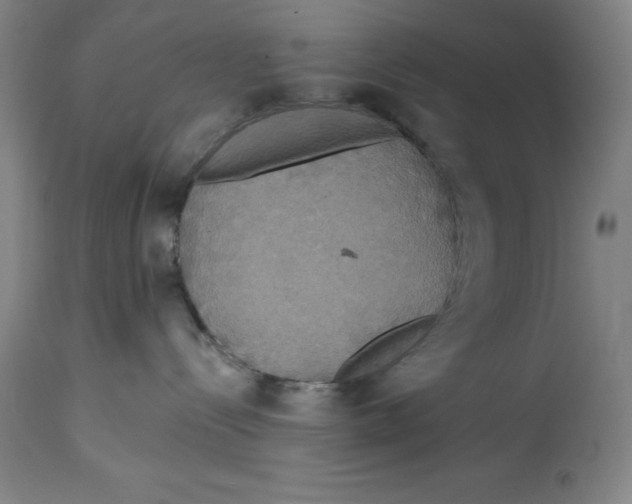 X0000114610288200911171042