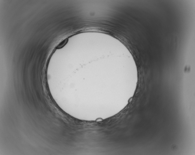 X0000114610289200911171041