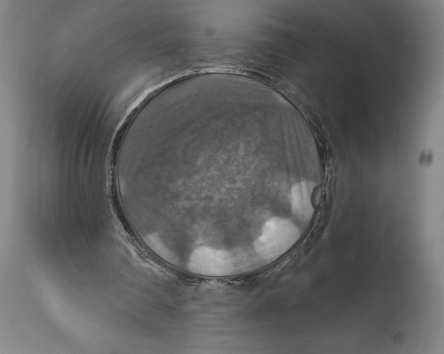 X0000114610290200911171041