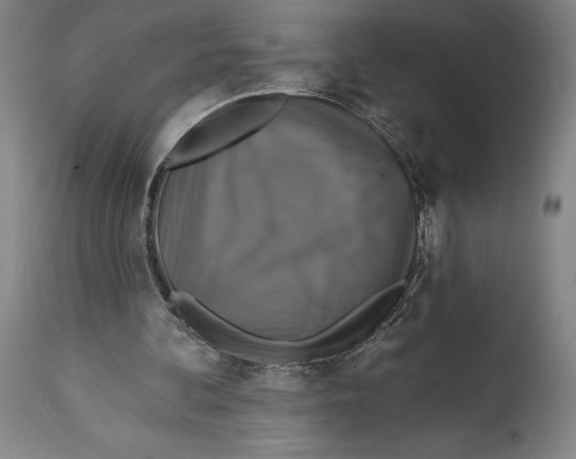 X0000114610292200911171041