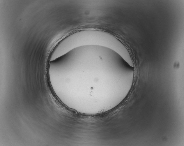 X0000114610293200911171041