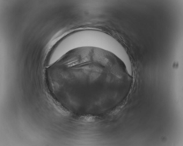 X0000114610295200911171041