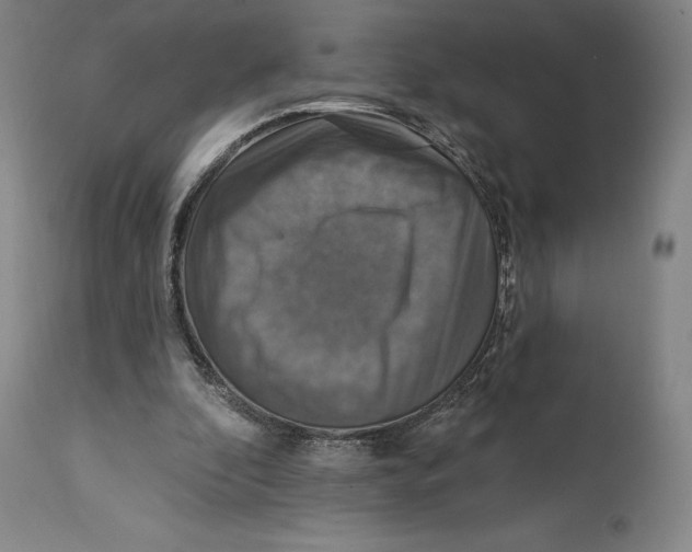 X0000114610296200911171041