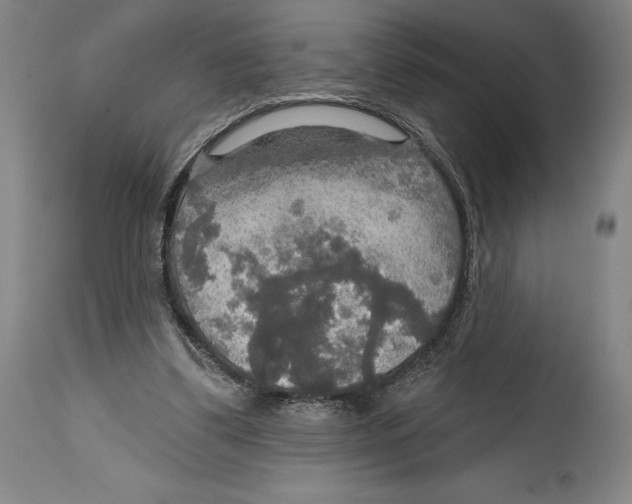 X0000114610299200911171041