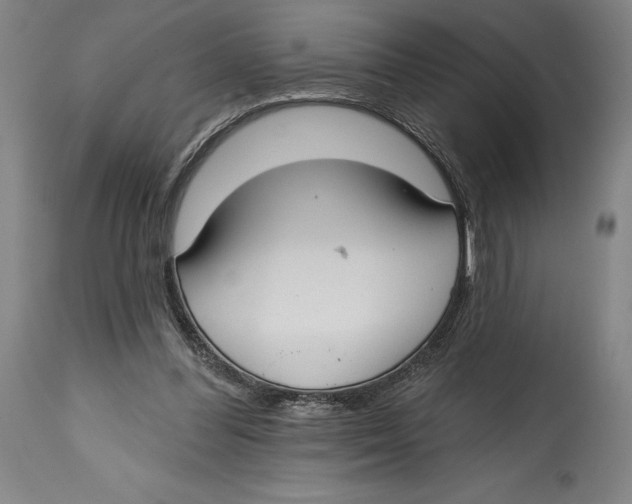 X0000114610300200911171041