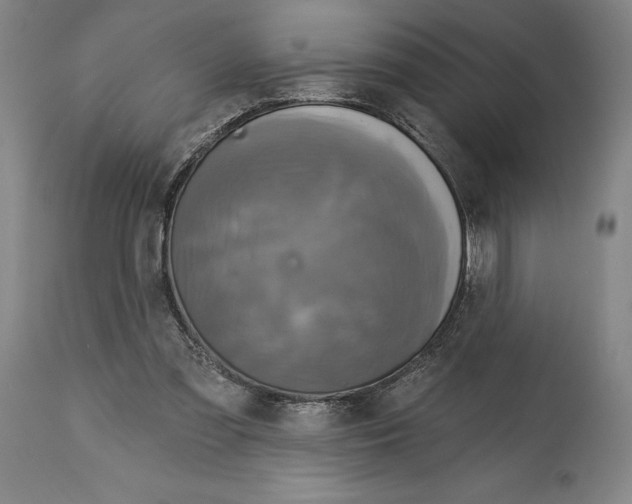 X0000114610301200911171041